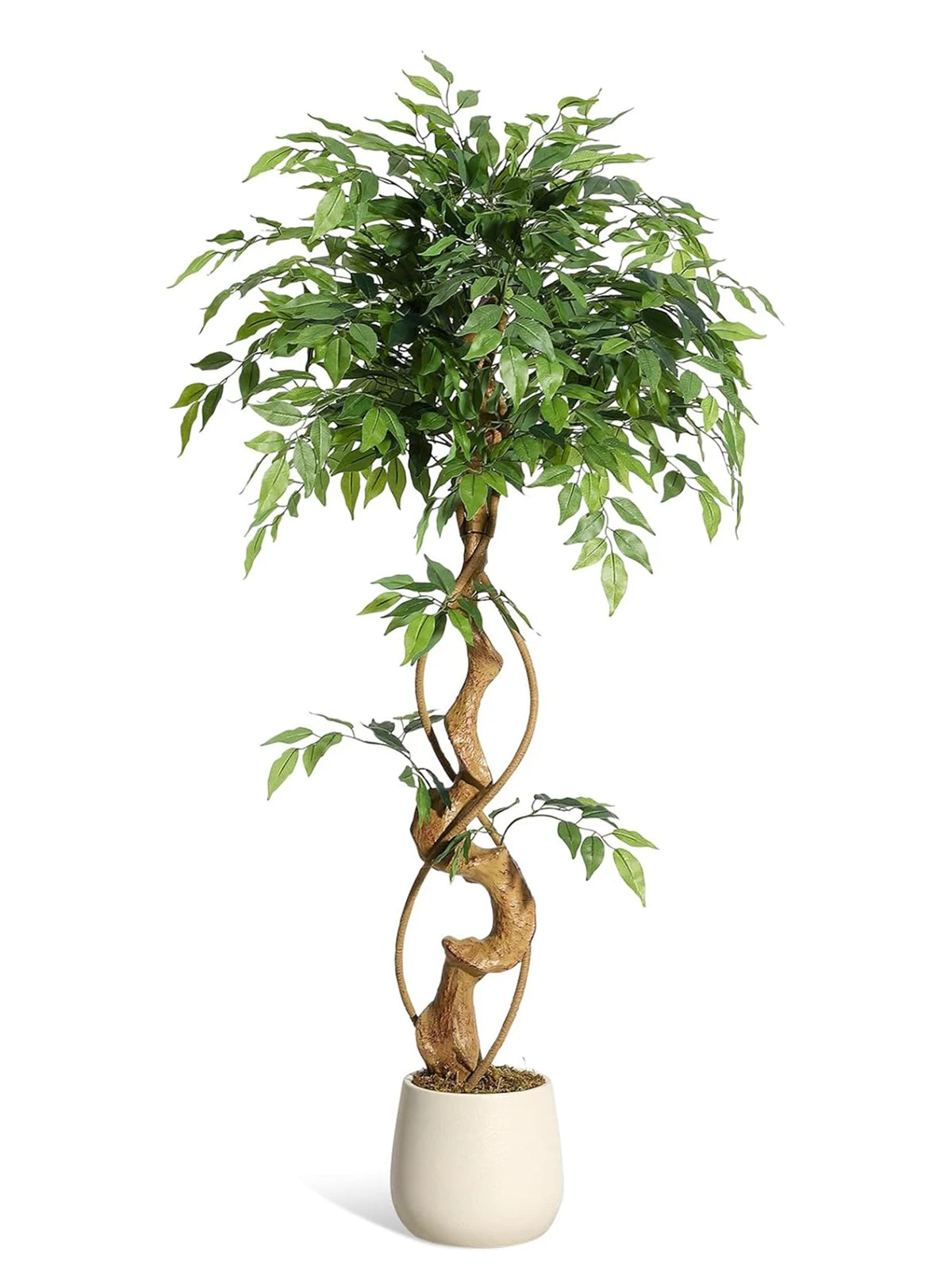 Artificial Ficus Tree