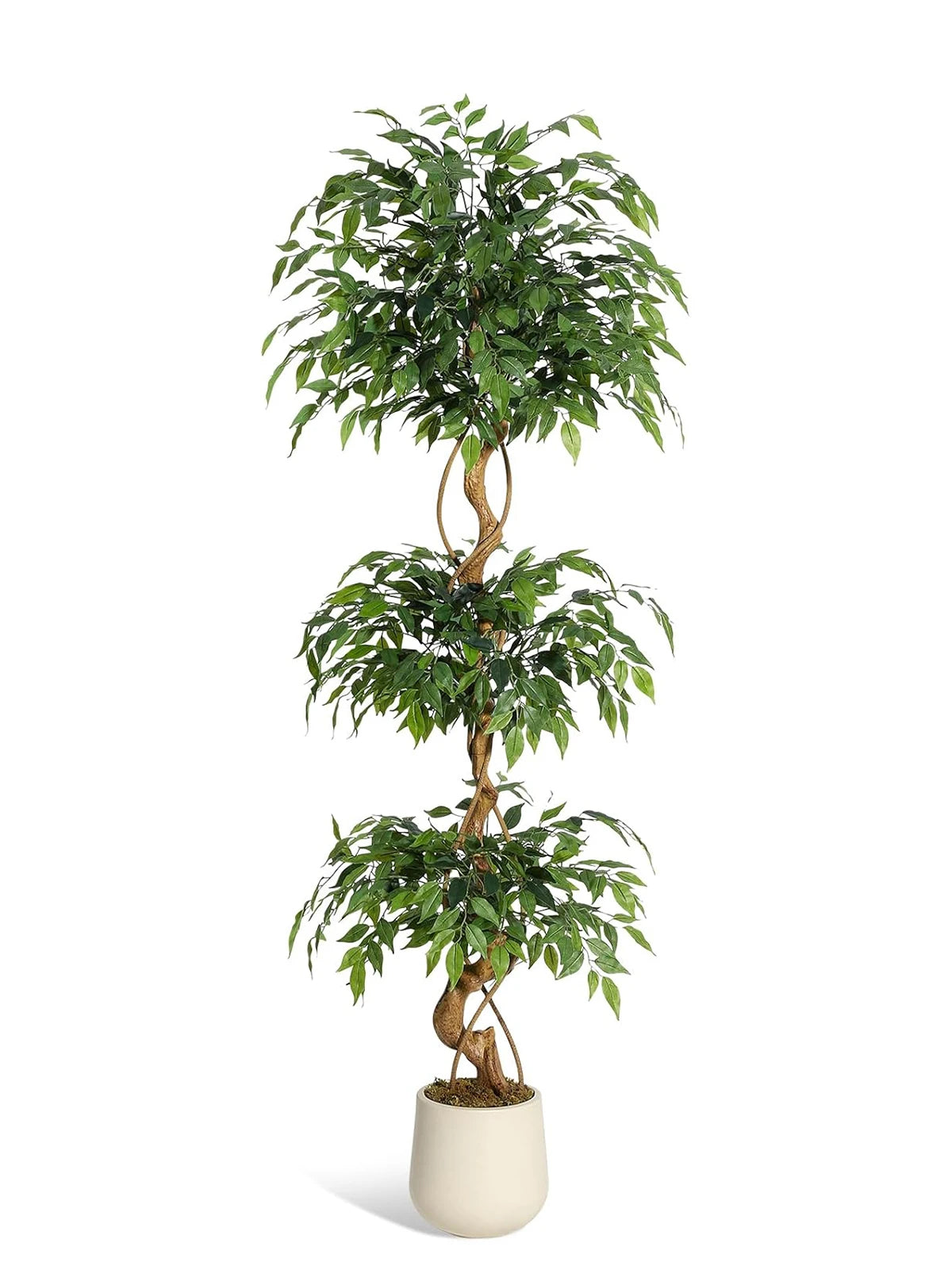 Artificial Ficus Tree
