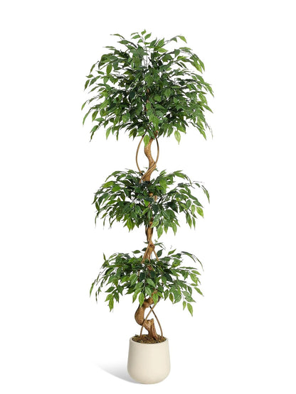 Artificial Ficus Tree