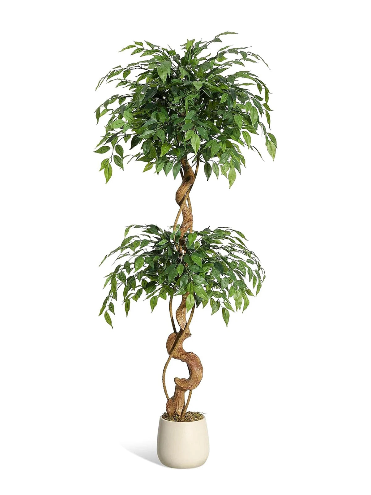 Artificial Ficus Tree