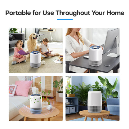 Portable Air Purifier