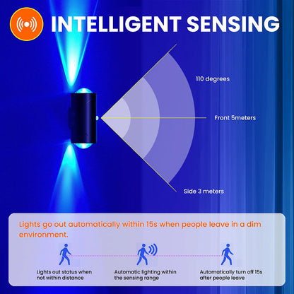 LED Motion Sensor Light