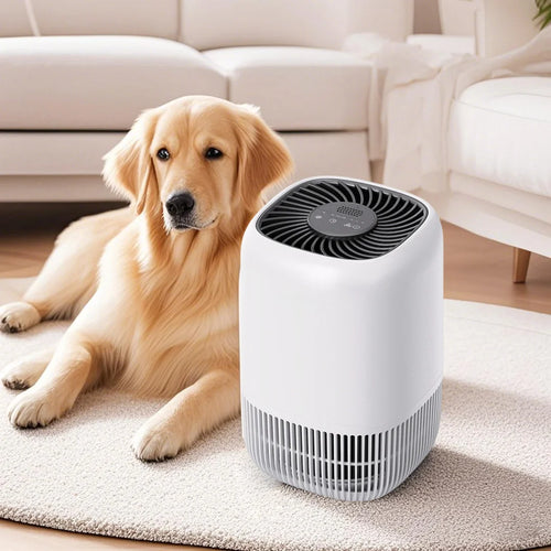 Portable Air Purifier