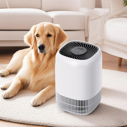 Portable Air Purifier