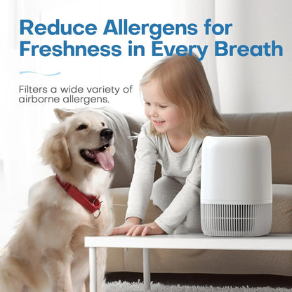 Portable Air Purifier