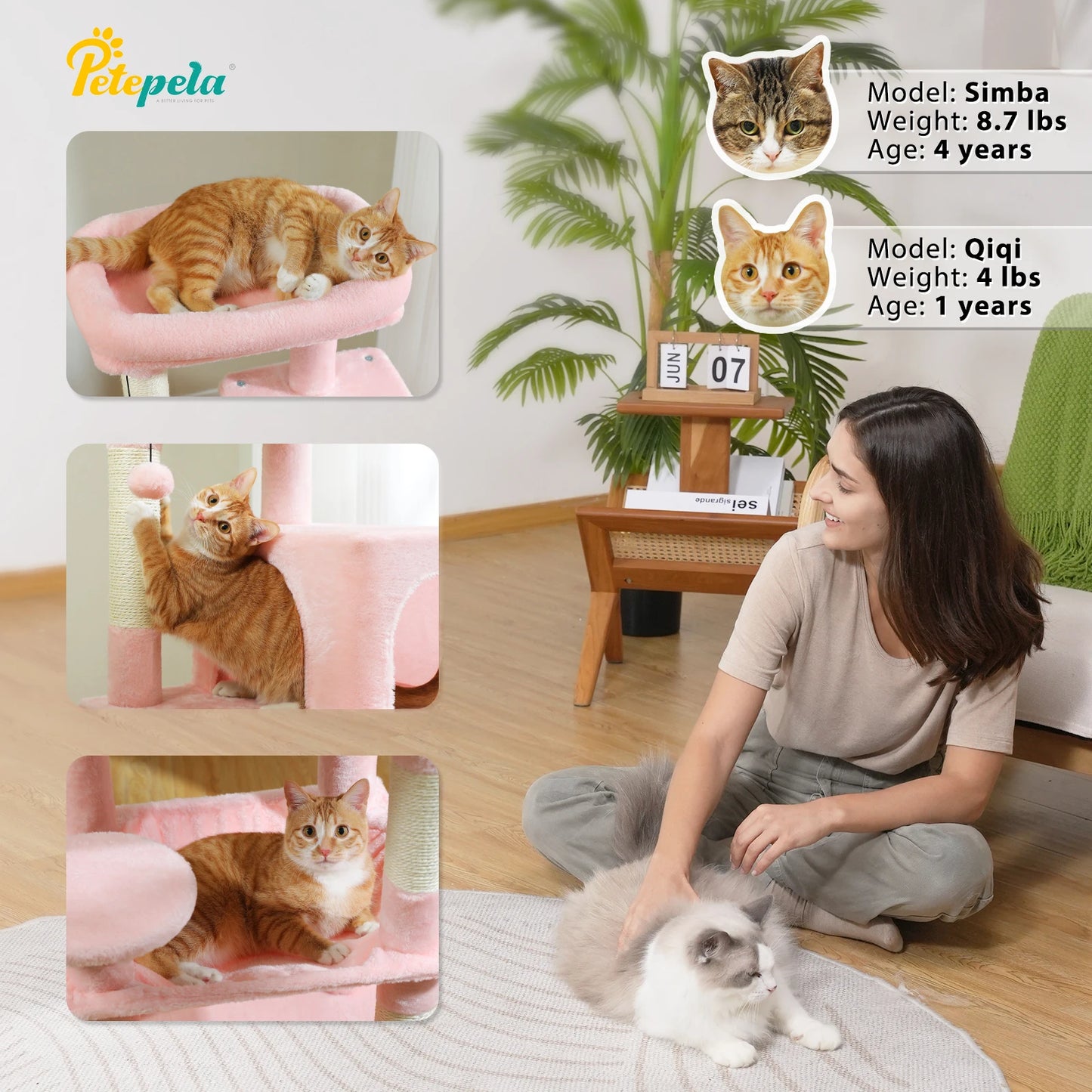 5-Level Cat Tower with Large Hammock Cat Condo