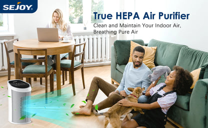 3-IN-1 HEPA Air Purifier